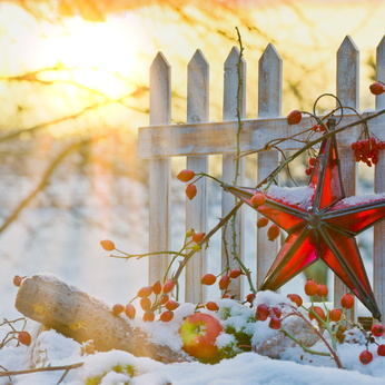 Weihnachten im Schnee