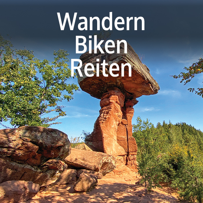 Wandern, Biken, Reiten